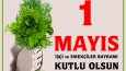 Sosyal Medya Tasarımları