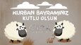 sosyal medya yönetimi 