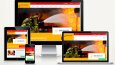 WEB SİTE TASARIMI