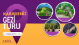 Dijital alandaki her içerik.