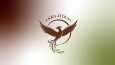 Logo Tasarımlarım