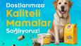Petshop