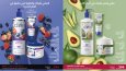 Broşür ve katalog tasarımı
