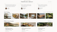 Selva Retreat Otel & Wellness Web Sitesi