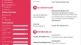 Göz Alıcı Cv Tasarımları 