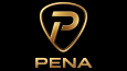 Pena logo tasarımı denemesi