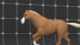 3D Animasyon Çalışmalarım