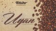 Çalışmalarımdan Sadece Birkaçı