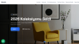 Profesyonel Web Siteleri, Saniyeler İçinde