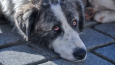 Fotoğraf & Düzenleme