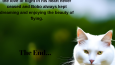 Sanal kitap tasarımı