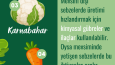 Instagram Kaydırmalı Post