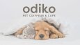 Odiko - Pet Coiffeur & Café
