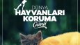 Önemli Günler İçin Post Tasarımları