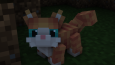 Kişiye özel minecraft plugin paketleri !