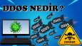 Kurgu, Tumbnail Tasarımı ve Her Şey Dahil Youtube Videoları