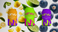 Orvo Logo Tasarımı