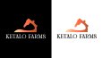 Minimalist Logo Portfolyosu
