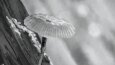Ekibimizin Yakın Dönem Konsept Tasarım ve İllüstrasyonları