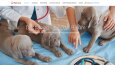 Pet Love 