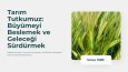 Erbap Agro İçin One-Page Website Tasarımı
