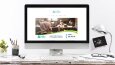 Wordpress-Kreatif Web Siteler