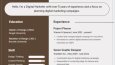 İngilizce ve Türkçe dillerinde Profesyonel Cv