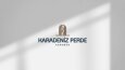 Logo Designs