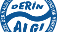 Bir çok sadece ve şık logo tasarımları yapıyorum