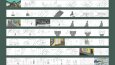 Storyboard (Çizgi Hikaye) 