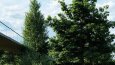 3D yüksek kaliteli renderlar oluşturabilirim