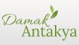 Özgün ve Akılda Kalıcı Logo Tasarımları