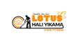 Lotus Halı Yıkama Logo Tasarımı