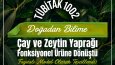 SOSYAL MEDYA TASARIMLARI 