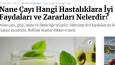 Yayında olan yazılar