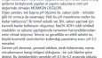 Profesyonel İçerik Yazarı | Akıcı ve Anlaşılır Metinler