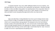 Freelance translation, Article Analyzing, Analyzing a Novel 