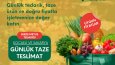 Tarım Ürünleri Firması Story Tasarımları