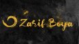 Özgün-Akılda kalıcı logo tasarımı