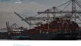 Selen Shipping - Web Yazılım