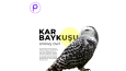Pisikobay Sosyal Medya Çalışması
