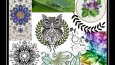 Moda Tasarım ve Marka Mood board(Hikaye panosu) 