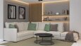 Living Room and Kitchen Design