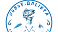 Marka-Sektör Uyumlu Logo Tasarımı