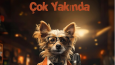 Sosyal Medya Tasarımları