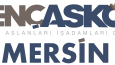 Bir çok sadece ve şık logo tasarımları yapıyorum