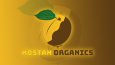 Her İşletmeye Uygun Logo Tasarımları