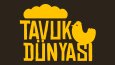 TavukDünyası Konsept Tasarım