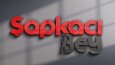 Logo Tasarımı