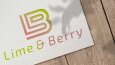 Lime&Berry - Konsept Çalışmaları